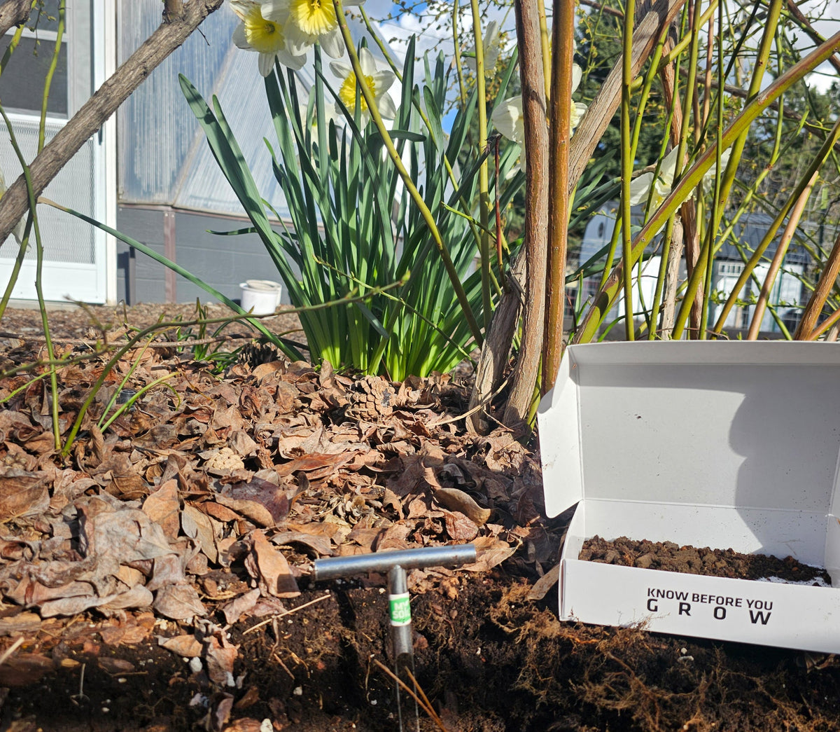Soil probe and MySoil soil test kit in a flower bed