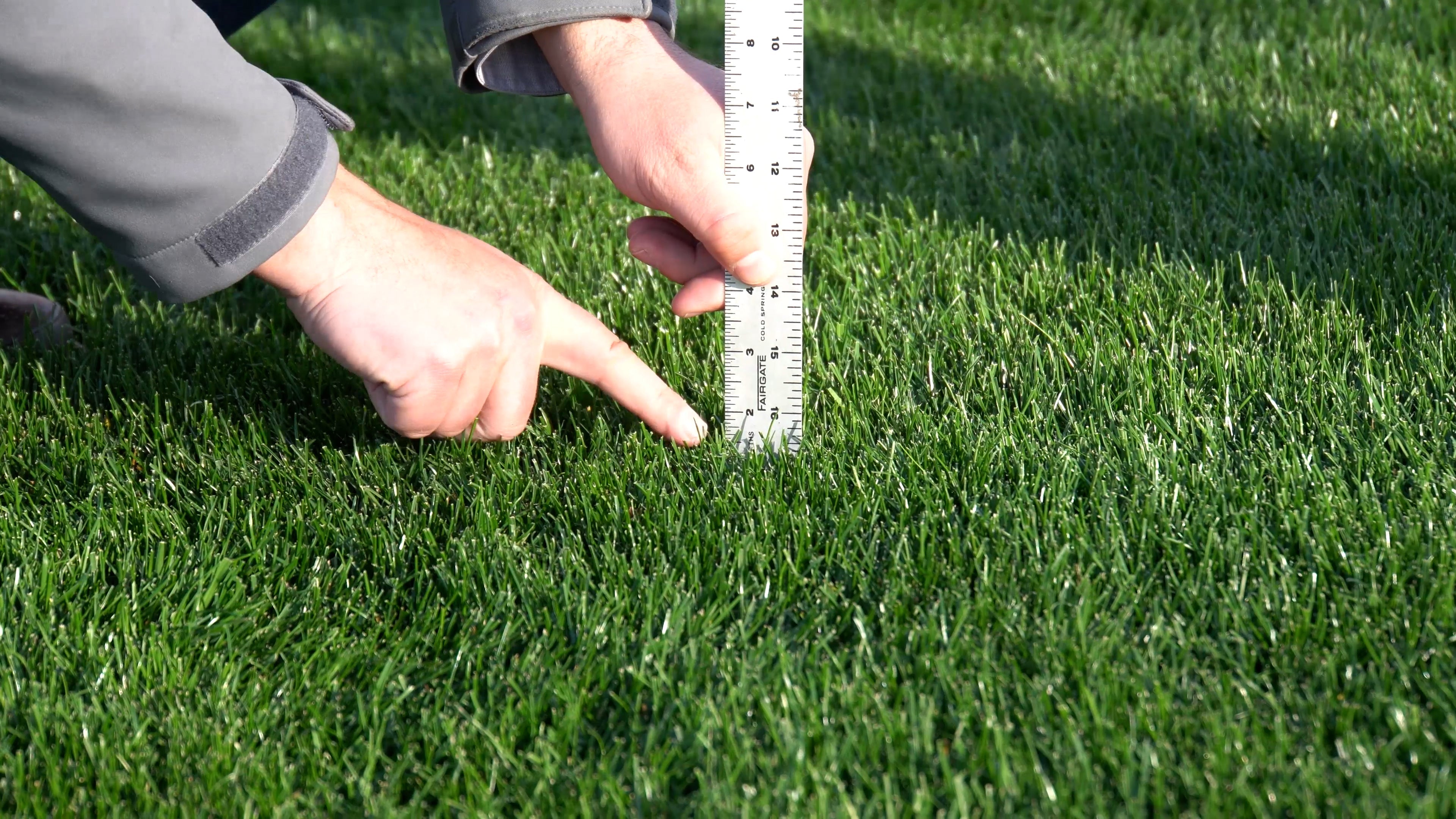 How Often and What Height to Mow - The 1/3 Leaf Surface Rule is The Key to Healthy, Resilient Lawns