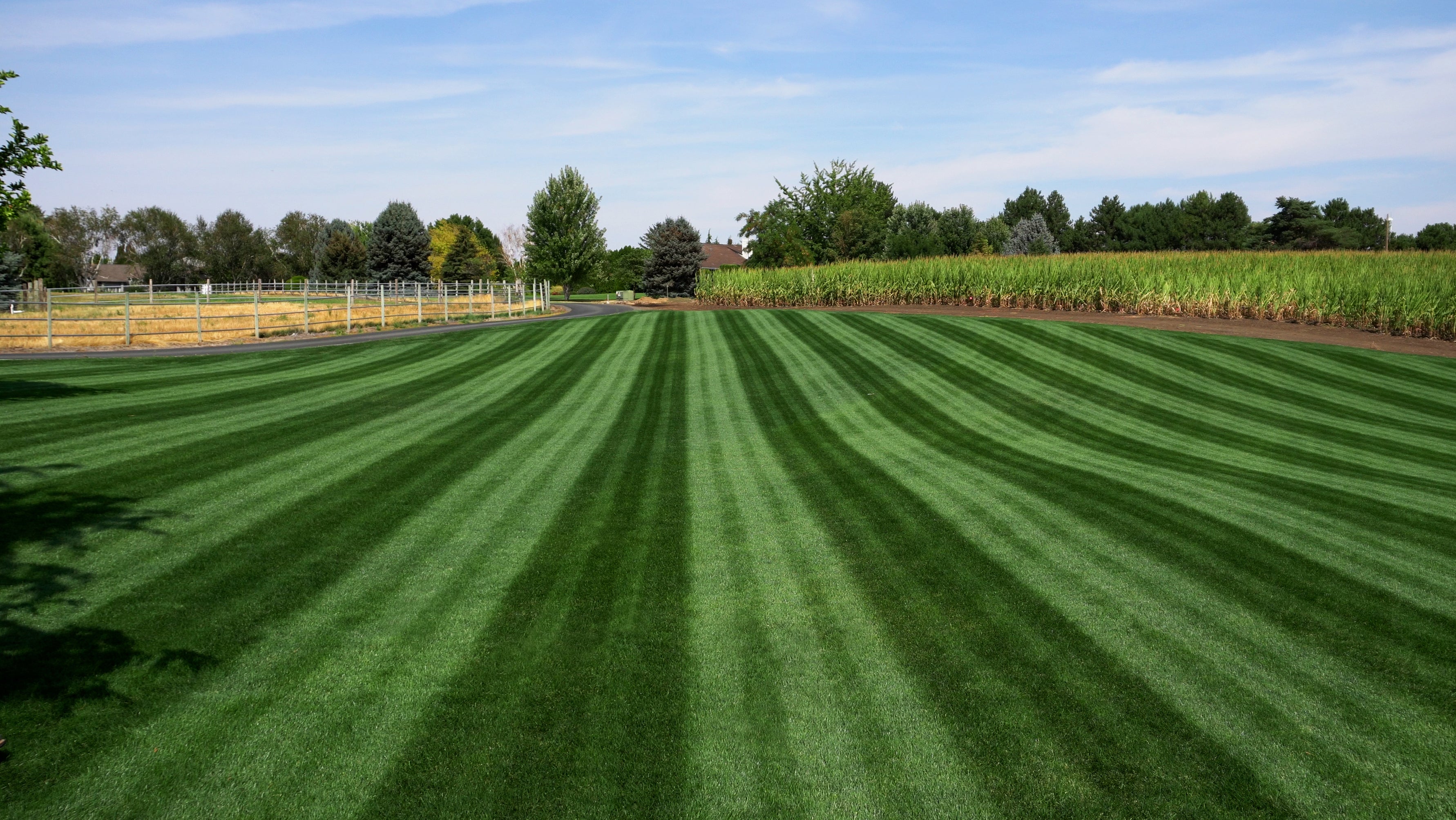 Expert Lawn Care: How Professional Soil Testing Transforms Your Lawn