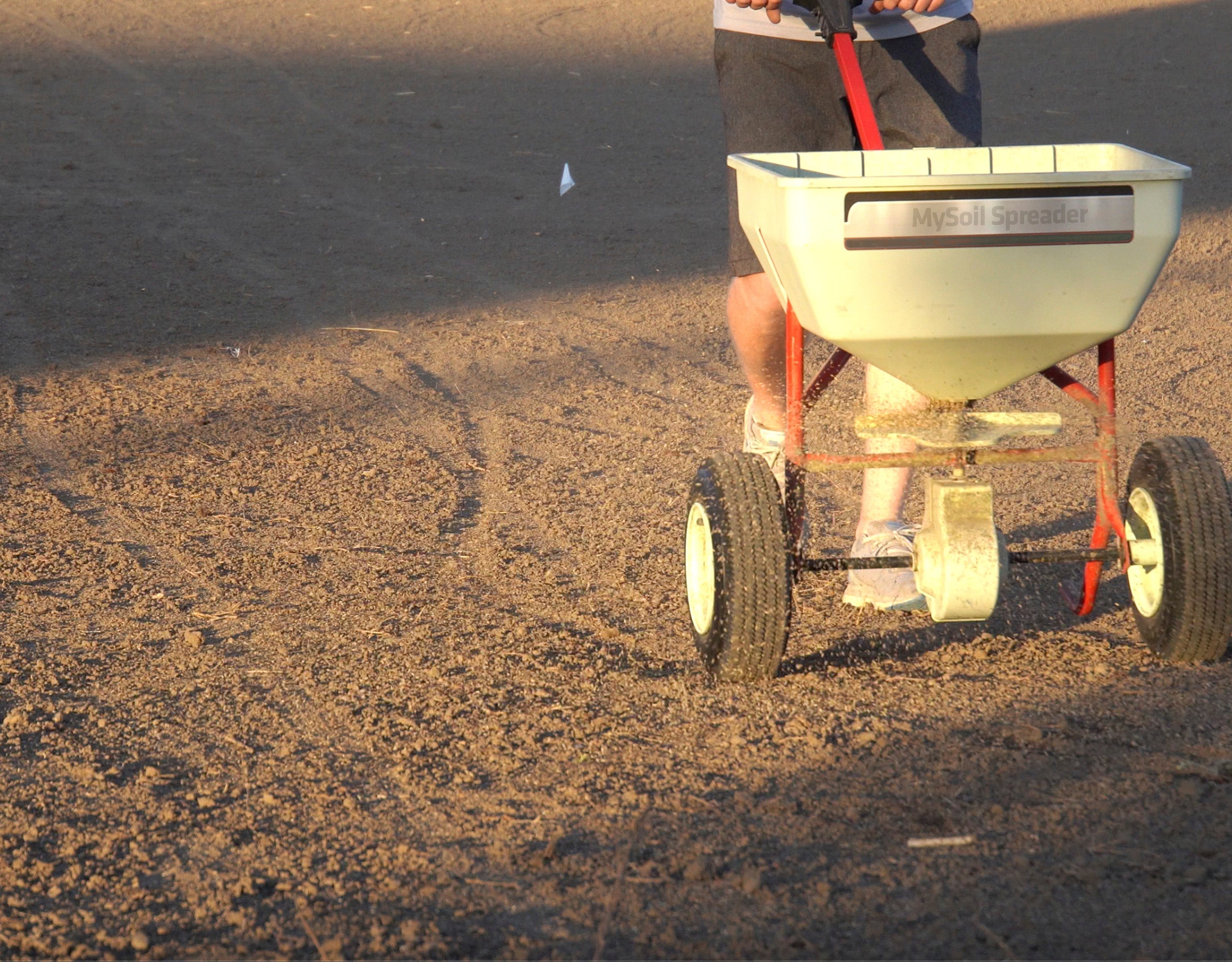 Do You Need Starter Fertilizer When Seeding a New Lawn?