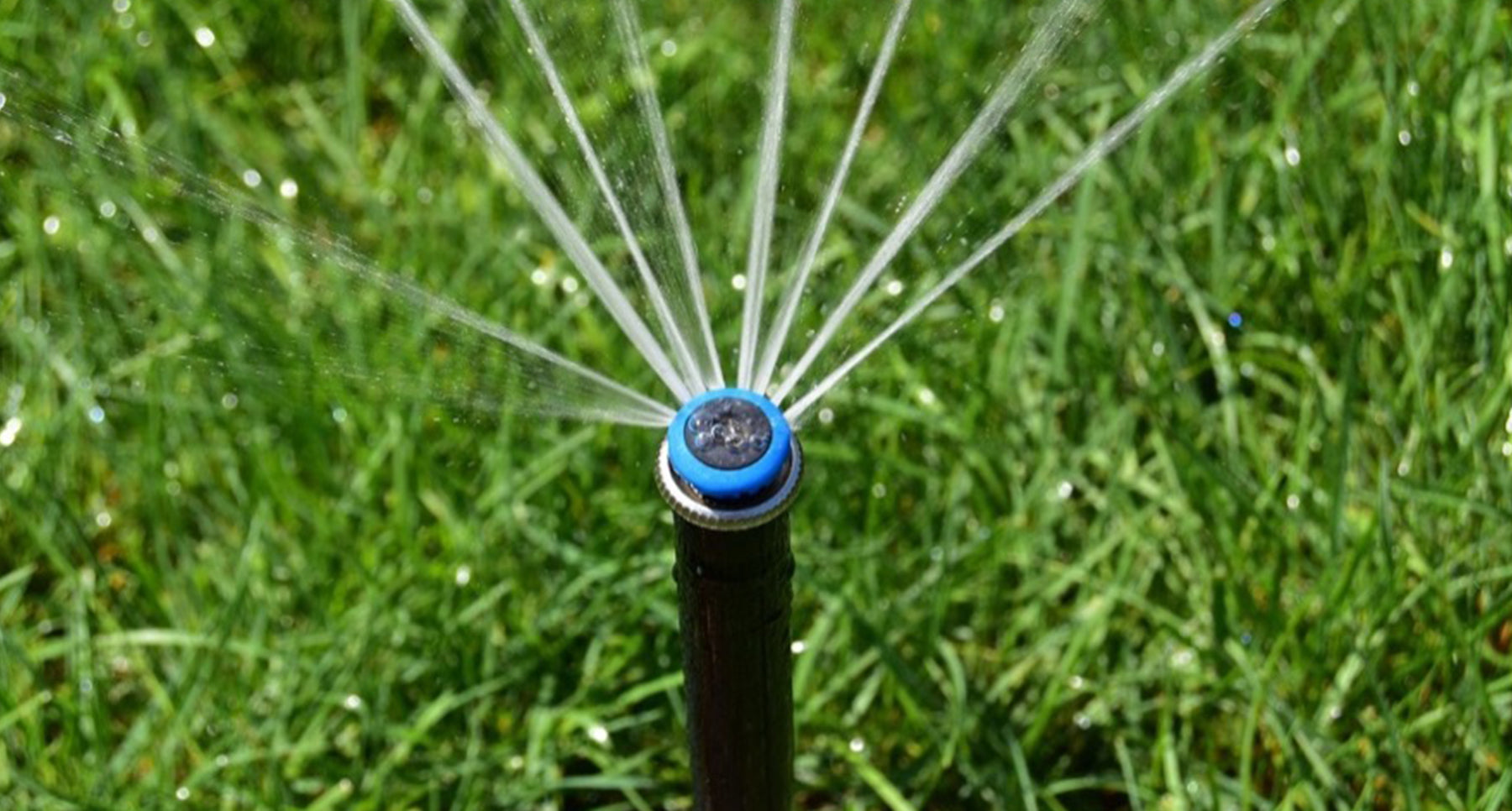 pop-up rotator sprinkler watering a lawn
