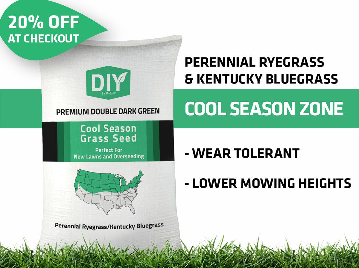 Double Dark Green Premium Grass Seed — Kentucky Bluegrass & Perennial Ryegrass | 0% Weed Seed, Certified Blue Tag
