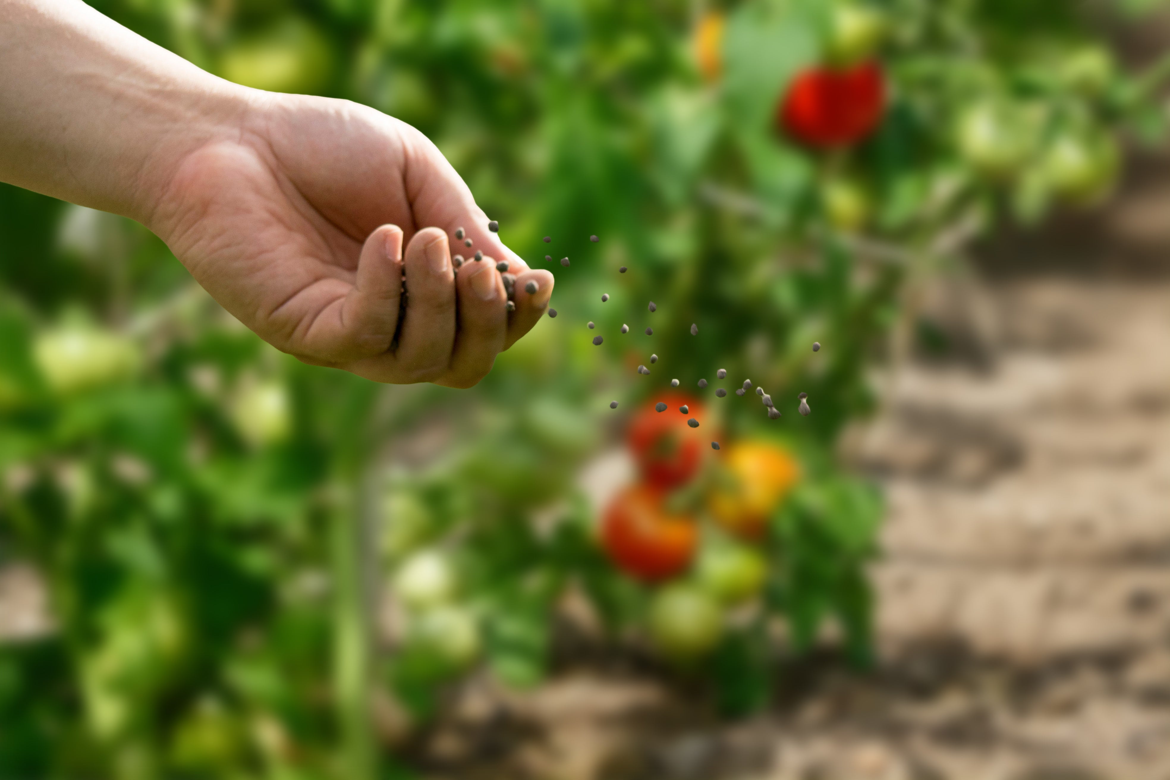 What is Gypsum and How Does It Help My Lawn and Garden?