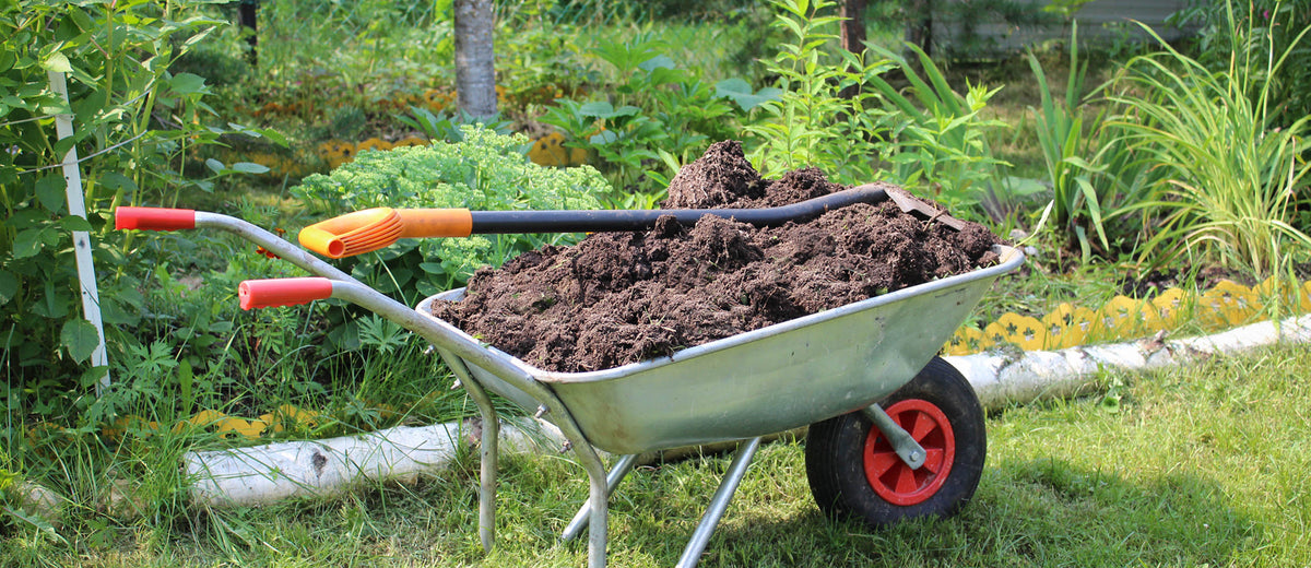 Compost in a wheelbarrow with a shovel