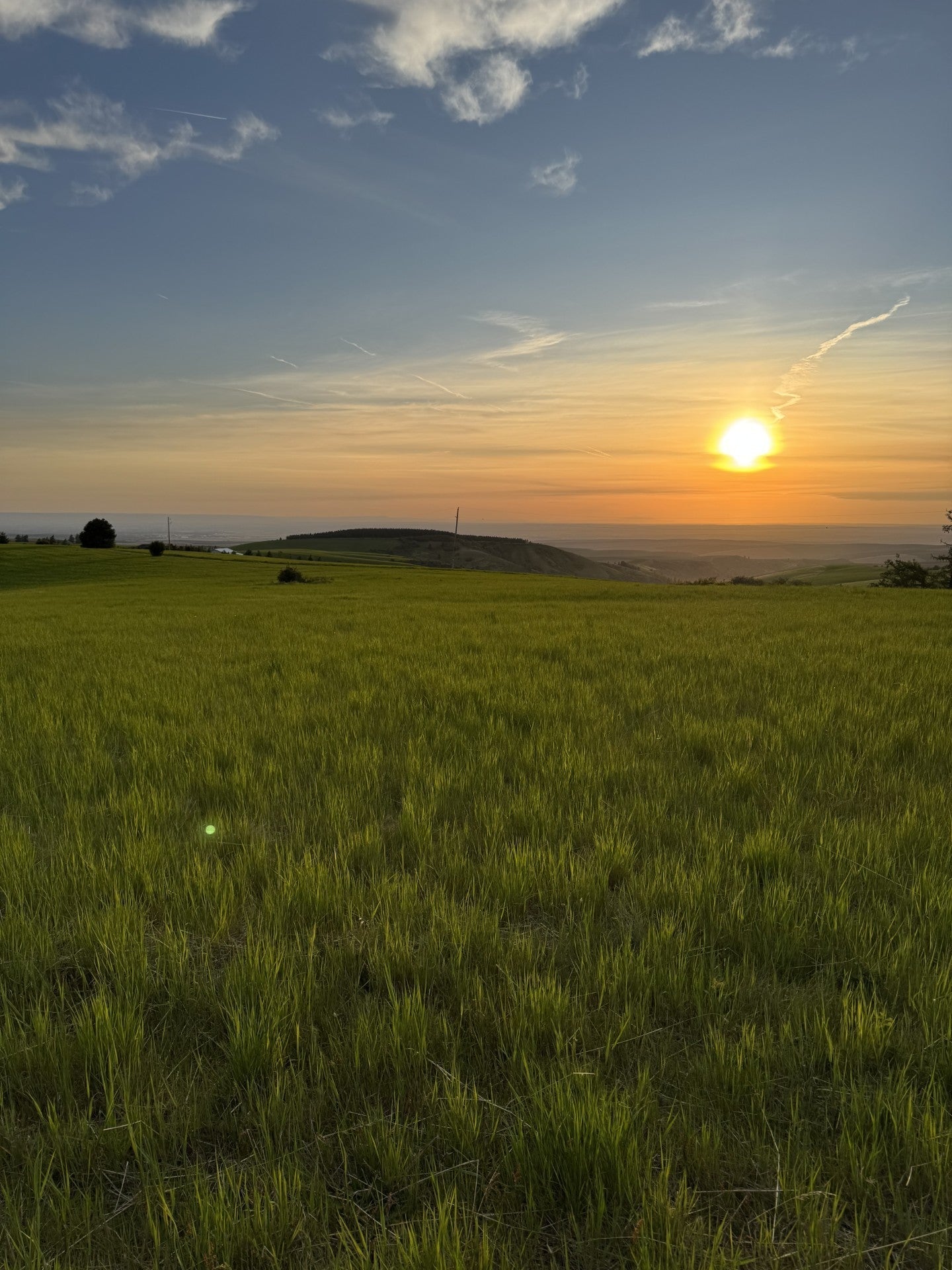 Sunsetting over a mountain pasture in Southeast Washington state
