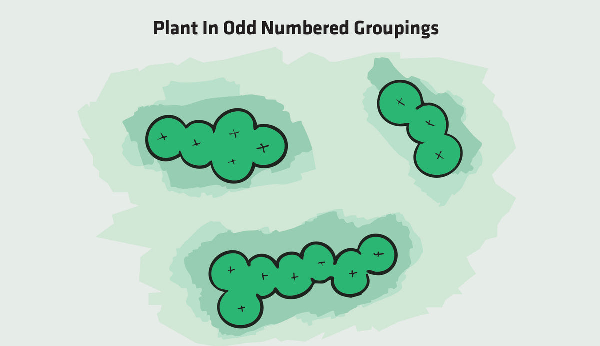 Planting plan using odd numbered groupings in a generic design