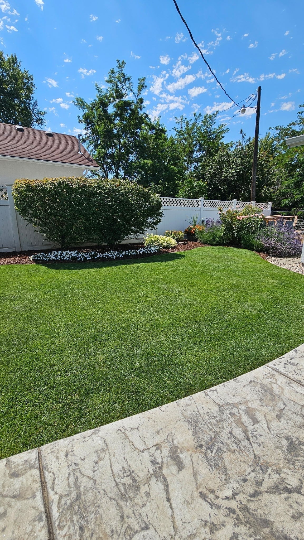 Seeded backyard DIY Premium Double Dark Green Seed by MySoil