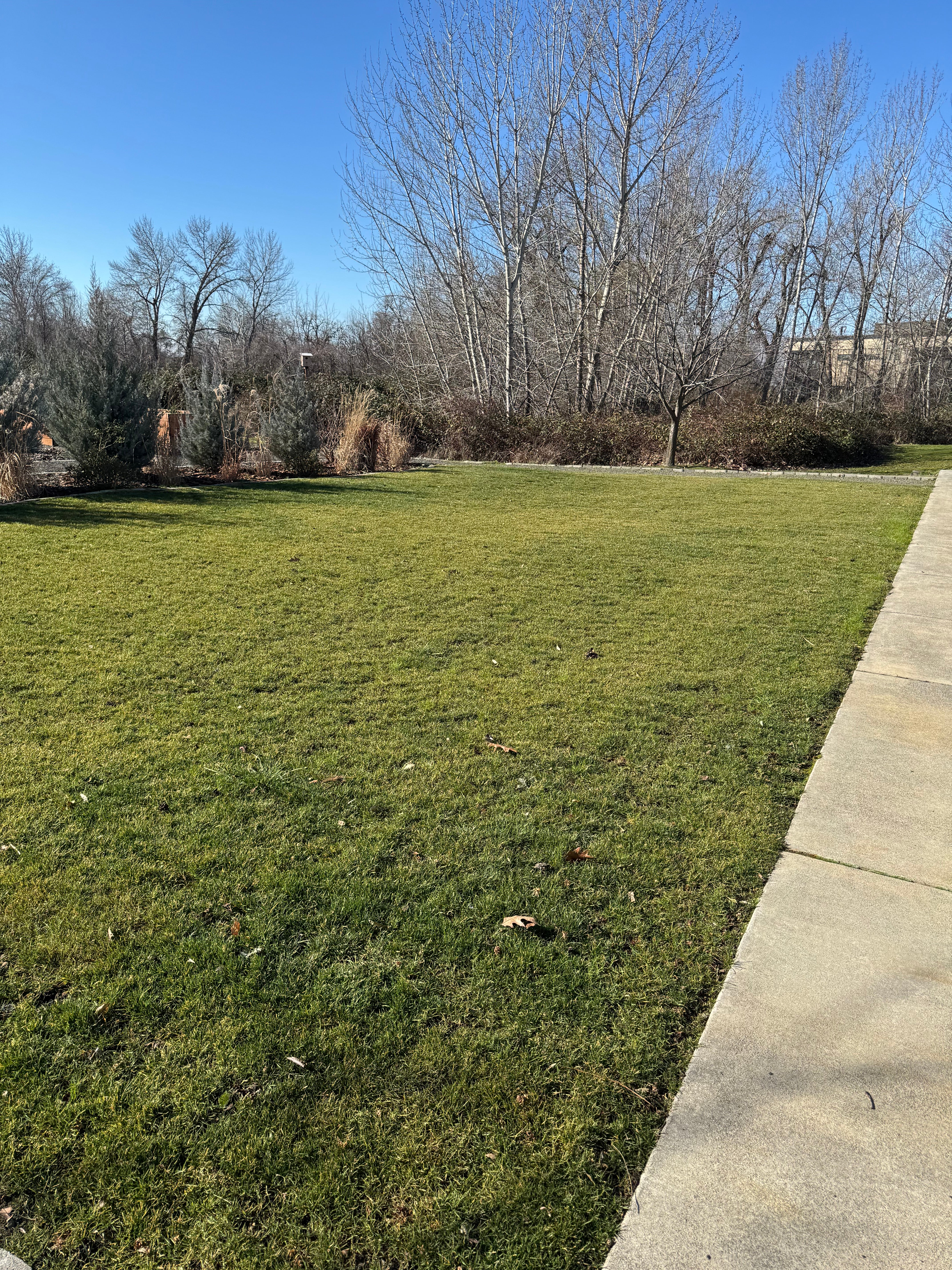 Lawn in Early Spring Ready for a soil test