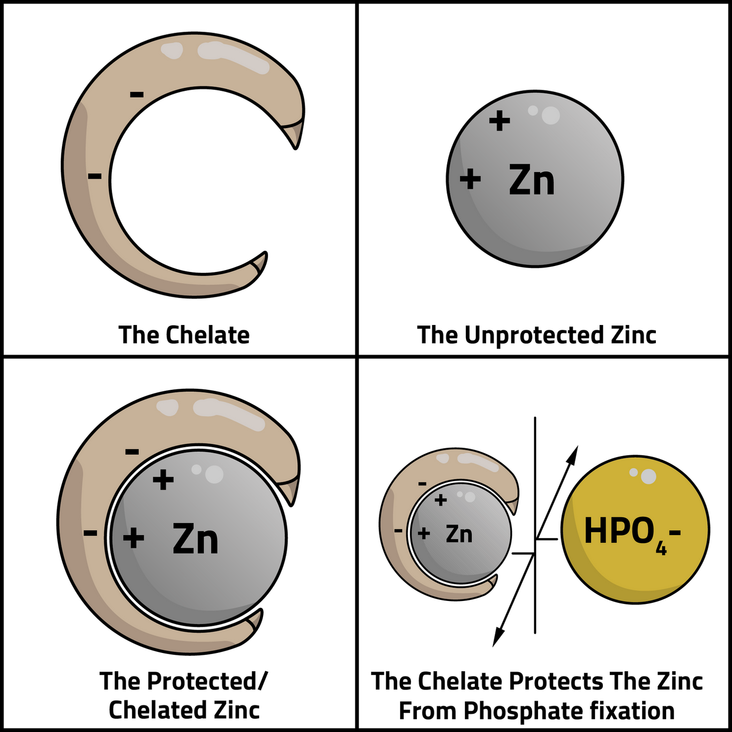 Chelated Zinc Fertilizers