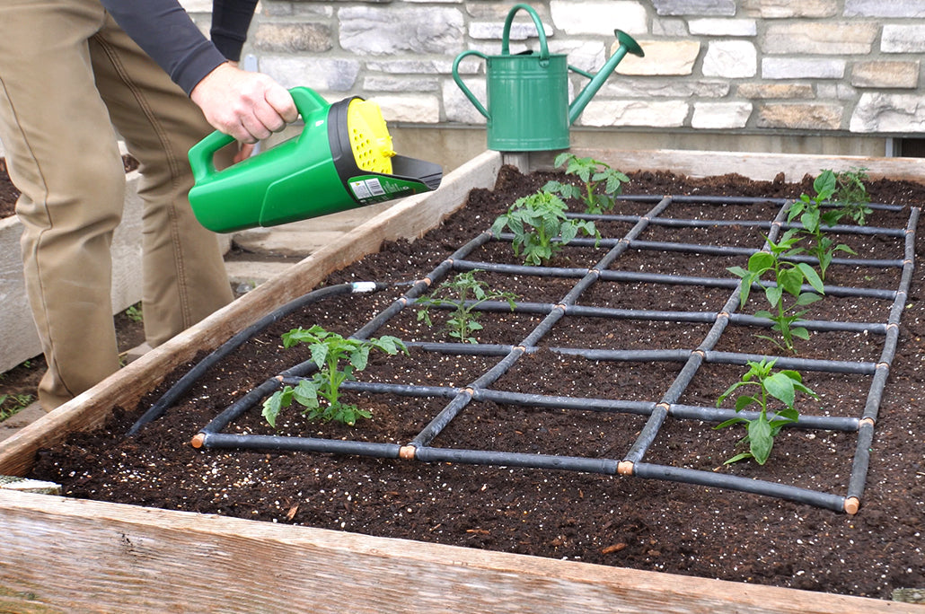 Fertilizing a raised bed garden with garden grid drip irrigation installed