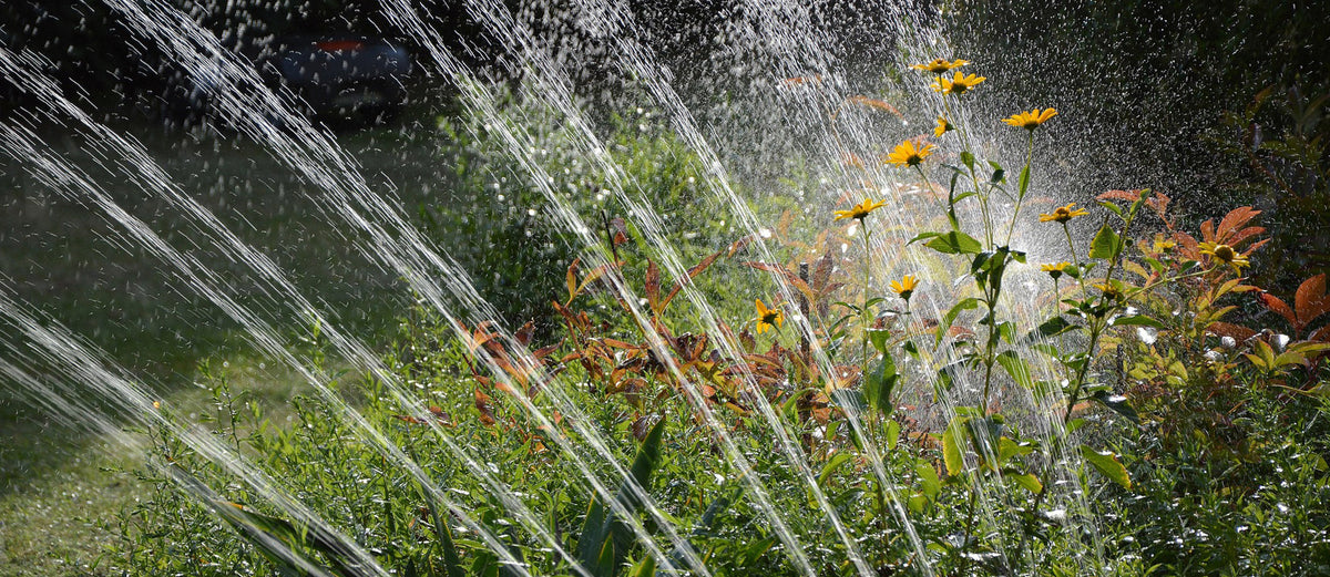 sprinkler watering flowers