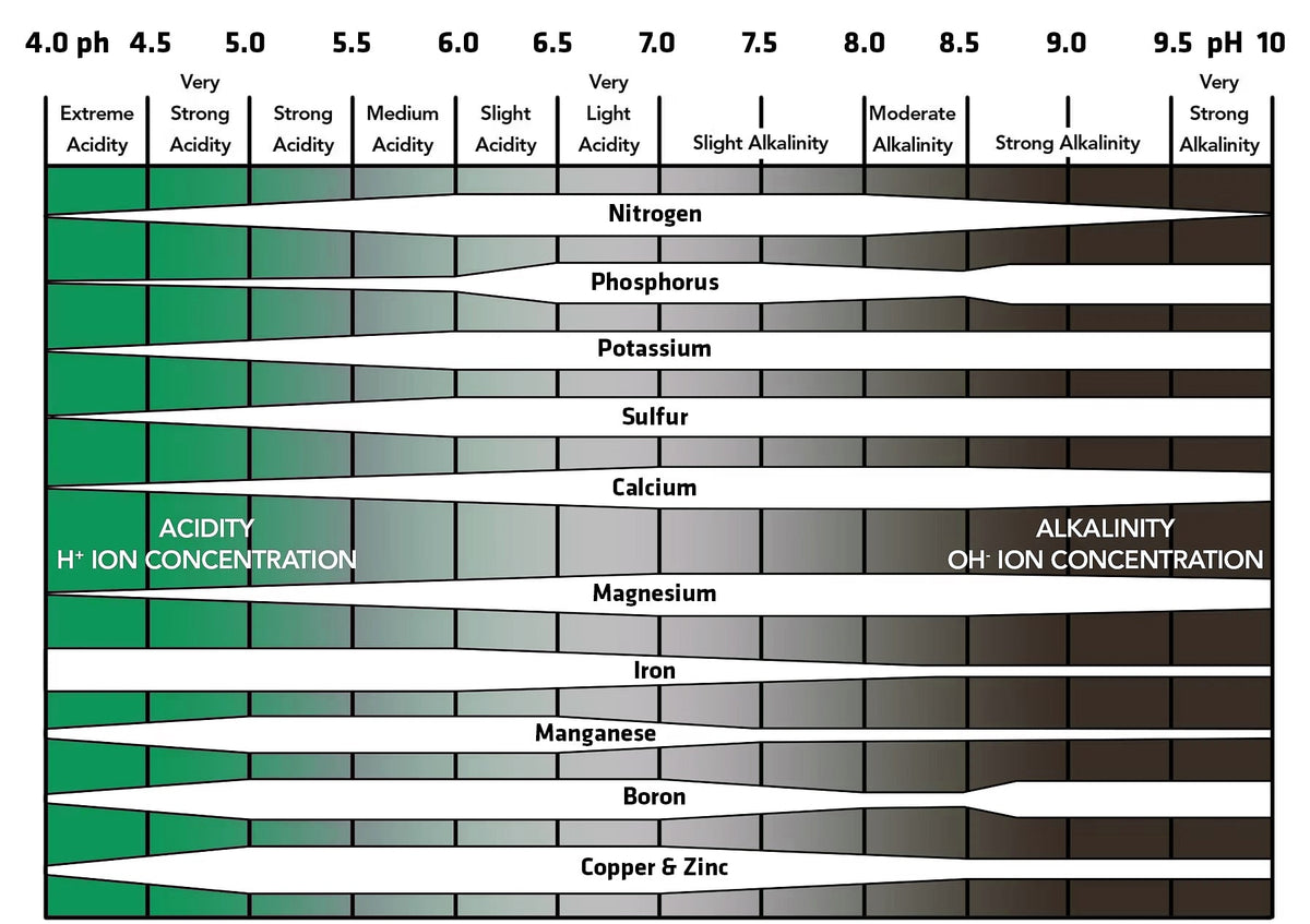 pH scale showing essential plant nutrient availability across the pH range