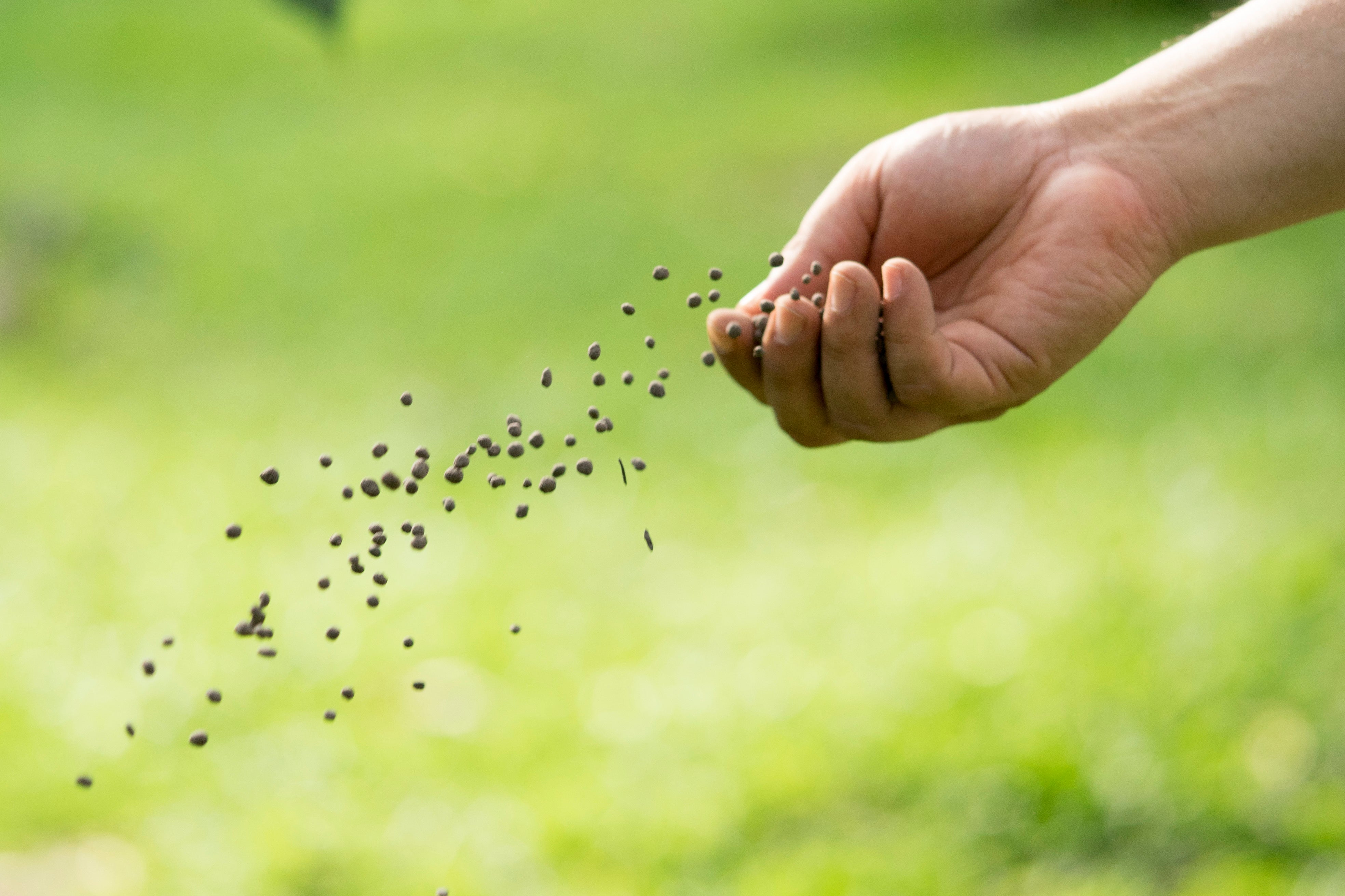 What is Gypsum and How Does It Help My Lawn and Garden?