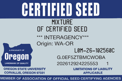 DIY Premium Double Dark Green (KB/PR)