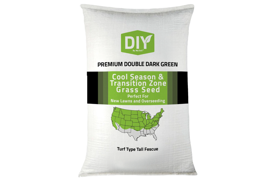Turf Type Tall Fescue